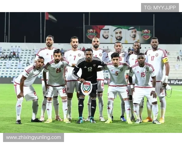 阿阿联酋足协组织露天观赛巨型荧幕助威世预赛关键战